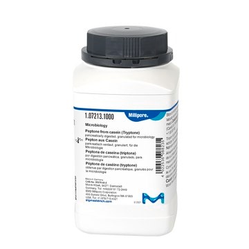 Peptone from casein (Tryptone) pancreatically digested, granulated, suitable for microbiology