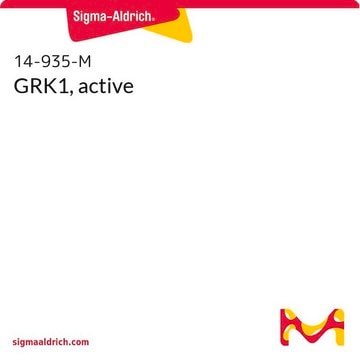 GRK1, active