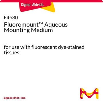 Meio de montagem aquoso Fluoromount&#8482; for use with fluorescent dye-stained tissues