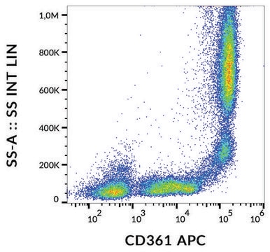 Monoclonal Anti-CD361 antibody produced in mouse clone MEM-216