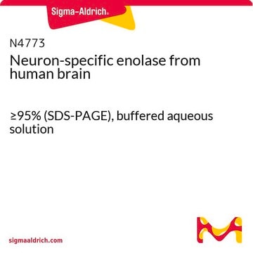 Neuron-specific enolase from human brain &#8805;95% (SDS-PAGE), buffered aqueous solution