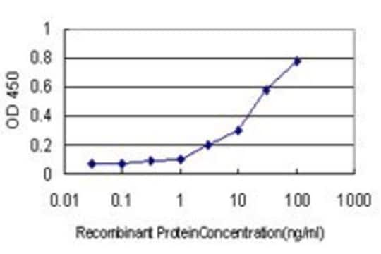 Monoclonal Anti-KCNMB4 antibody produced in mouse clone 1G7, purified immunoglobulin, buffered aqueous solution