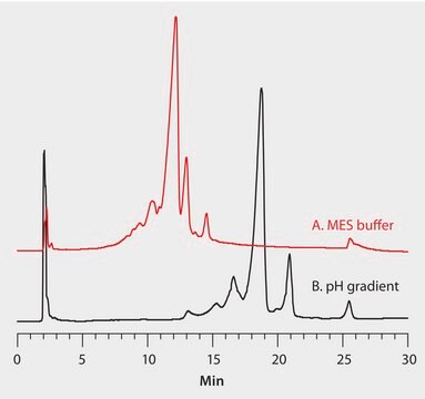 HPLC Analysis of MAb on Proteomix&#174; SCX-NP5 Comparing Different Buffer Systems and pH Gradients application for HPLC