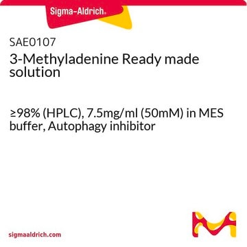 3-甲基腺嘌呤成品溶液 &#8805;98% (HPLC), 7.5mg/ml (50mM) in MES buffer, Autophagy inhibitor