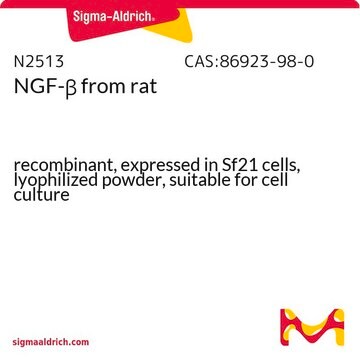 NGF-&#946; aus Ratte recombinant, expressed in Sf21 cells, lyophilized powder, suitable for cell culture