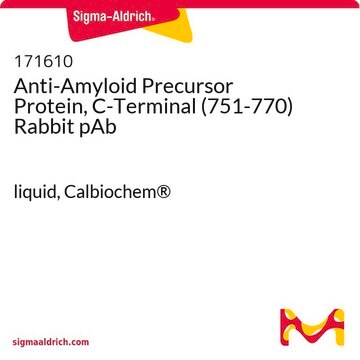 Anti-Amyloid-Vorläuferprotein, C-Terminus (751-770), Kaninchen-pAb liquid, Calbiochem&#174;