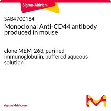 Monoclonal Anti-CD44 antibody produced in mouse clone MEM-263, purified immunoglobulin, buffered aqueous solution