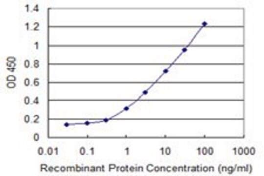 ANTI-SUPT16H antibody produced in mouse clone 3G9, purified immunoglobulin, buffered aqueous solution