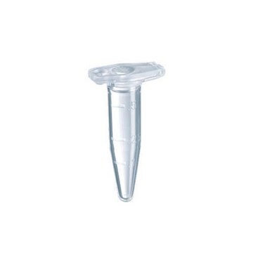 Eppendorf&#174; DNA-LoBind-Röhrchen capacity 0.5&#160;mL, PCR clean, withstand, 30,000 x g, pack of 250&#160;ea