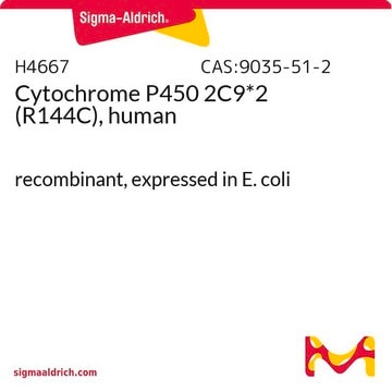 Cytochrome P450 2C9*2 (R144C), human recombinant, expressed in E. coli