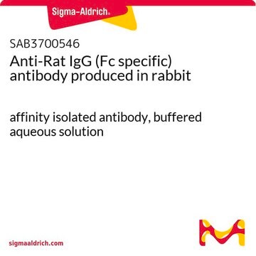 Anti-Rat IgG (Fc specific) antibody produced in rabbit affinity isolated antibody, buffered aqueous solution