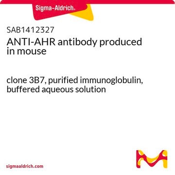 ANTI-AHR antibody produced in mouse clone 3B7, purified immunoglobulin, buffered aqueous solution