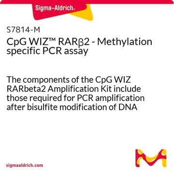 CpG WIZ&#8482; RAR&#946;2 - Methylation specific PCR assay The components of the CpG WIZ RARbeta2 Amplification Kit include those required for PCR amplification after bisulfite modification of DNA samples. Sufficient reagents are provided to analyze 25 samples.