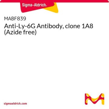 Anti-Ly-6G Antibody, clone 1A8 (Azide free)