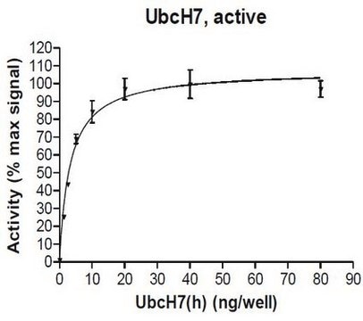 UbcH7 Protein, active, 10 &#181;g Active, full length, recombinant human UbcH7. N-terminal HA, 6His-tagged. For use in Enzyme Assays. Functions as an E2 enzyme in ubiquitination assays.