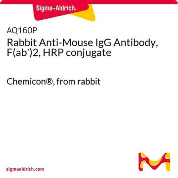 Rabbit Anti-Mouse IgG Antibody, F(ab&#8242;)2, HRP conjugate Chemicon&#174;, from rabbit