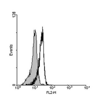 Anti-Interleukin 21 (IL-21) Antibody from rabbit, purified by affinity chromatography