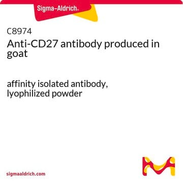 Anti-CD27 antibody produced in goat affinity isolated antibody, lyophilized powder