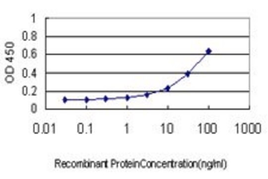 Monoclonal Anti-ARL14 antibody produced in mouse clone 2C8, purified immunoglobulin, buffered aqueous solution