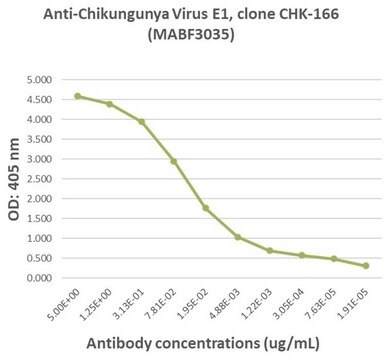 Anti-Chikungunya virus E1 Antibody, clone CHK-166