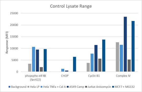 MILLIPLEX® Human Cell Health Magnetic Bead Panel | Sigma-Aldrich