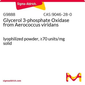 Glycerin-3-Phosphat-Oxidase aus Aerococcus viridans lyophilized powder, &#8805;70&#160;units/mg solid