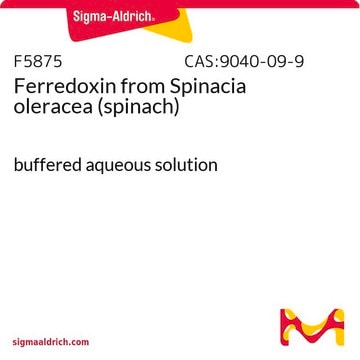 Ferredoxin from Spinacia oleracea (spinach) buffered aqueous solution