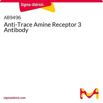 Anti-Trace Amine Receptor 3 Antibody