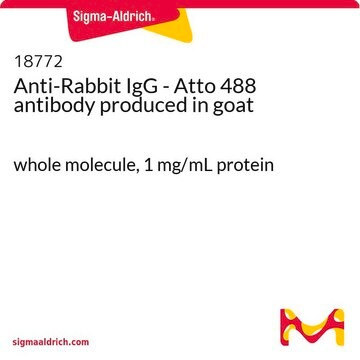 抗-兔 IgG - Atto 488 山羊抗 whole molecule, 1&#160;mg/mL protein