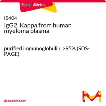 IgG2, Kappa aus human myeloma plasma purified immunoglobulin, &gt;95% (SDS-PAGE)