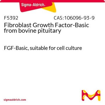 Fibroblast Growth Factor-Basic from bovine pituitary FGF-Basic, suitable for cell culture