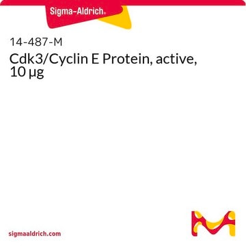 Cdk3/Cyclin E Protein, active, 10 &#181;g