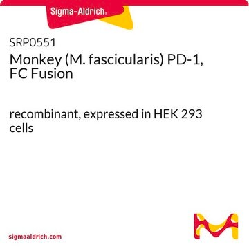 Monkey (M. fascicularis) PD-1, FC Fusion recombinant, expressed in HEK 293 cells