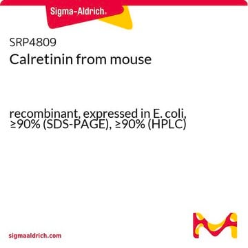 Calretinin from mouse recombinant, expressed in E. coli, &#8805;90% (SDS-PAGE), &#8805;90% (HPLC)