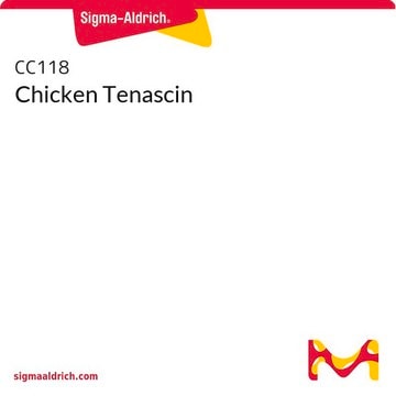 Chicken Tenascin