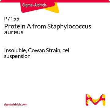 Protein&#160;A aus Staphylococcus aureus Insoluble, Cowan Strain, cell suspension