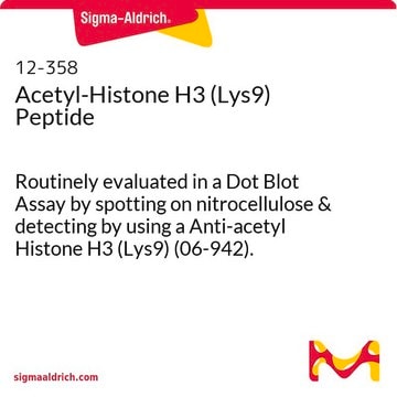 Acetyl-Histone H3 (Lys9) Peptide Routinely evaluated in a Dot Blot Assay by spotting on nitrocellulose &amp; detecting by using a Anti-acetyl Histone H3 (Lys9) (06-942).