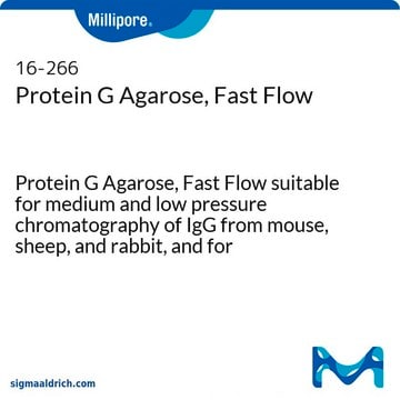 Protein G-Agarose, Fast Flow Protein G Agarose, Fast Flow suitable for medium and low pressure chromatography of IgG from mouse, sheep, and rabbit, and for immunoprecipitations.