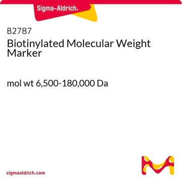 Biotinylierter Molekulargewichtsmarker mol wt 6,500-180,000&#160;Da