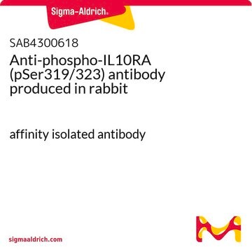 Anti-phospho-IL10RA (pSer319/323) antibody produced in rabbit affinity isolated antibody