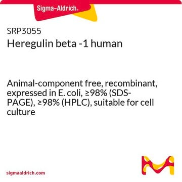 ヘレグリン&#946;-1 ヒト Animal-component free, recombinant, expressed in E. coli, &#8805;98% (SDS-PAGE), &#8805;98% (HPLC), suitable for cell culture