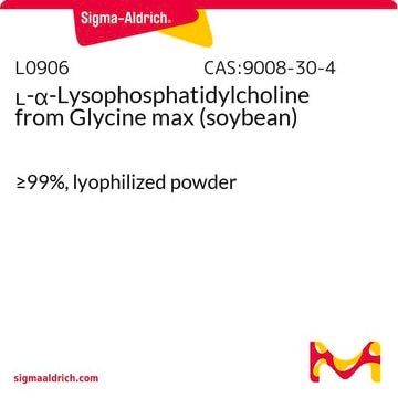 L-&#945;-lisofosfatidilcolina from Glycine max (soybean) &#8805;99%, lyophilized powder