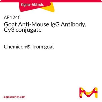 山羊抗小鼠IgG抗体，Cy3偶联 Chemicon&#174;, from goat