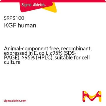 KGF 人 Animal-component free, recombinant, expressed in E. coli, &#8805;95% (SDS-PAGE), &#8805;95% (HPLC), suitable for cell culture