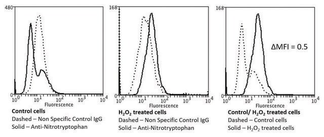 Monoclonal Anti-Nitrotryptophan-Atto 594 antibody produced in mouse clone 2D12