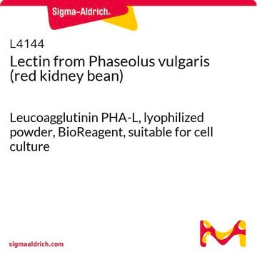 Lectin from Phaseolus vulgaris (red kidney bean) Leucoagglutinin PHA-L, lyophilized powder, BioReagent, suitable for cell culture