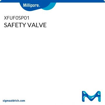 SAFETY VALVE