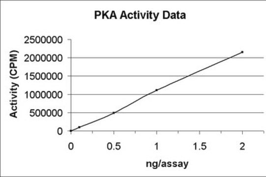 PKA-Protein, rekombinant, 10&nbsp;&#181;g Recombinant human full length PKA, catalytic subunit type alpha, untagged, for use in Kinase Assays.