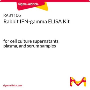 Rabbit IFN-gamma ELISA Kit for cell culture supernatants, plasma, and serum samples