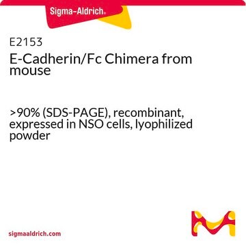 E-Cadherin/Fc Chimera from mouse &gt;90% (SDS-PAGE), recombinant, expressed in NSO cells, lyophilized powder